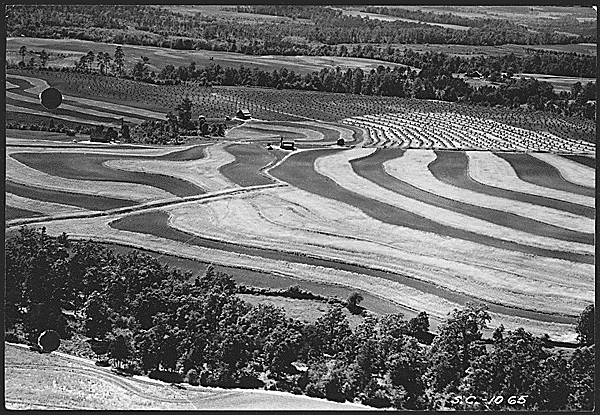 farming