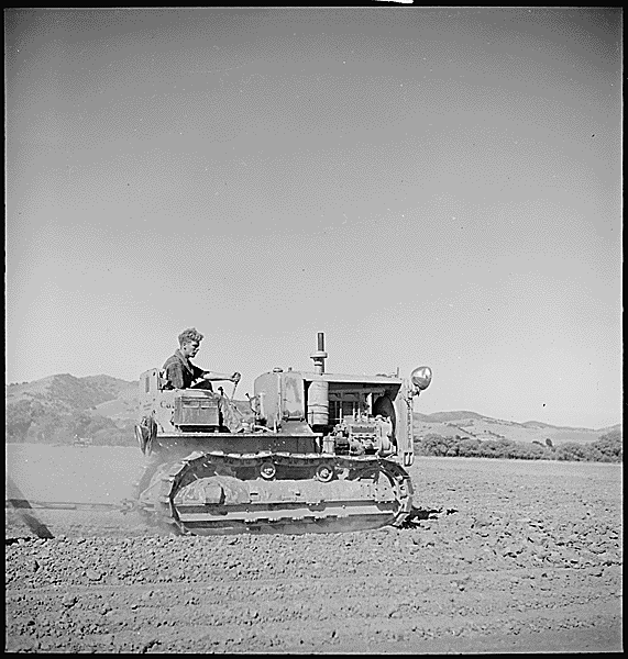 farm
