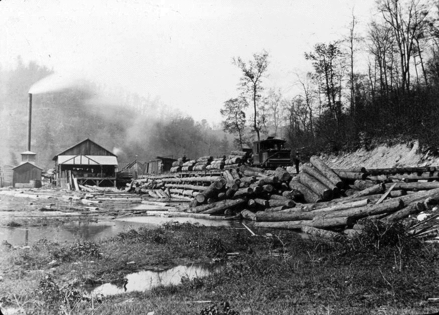 logs
