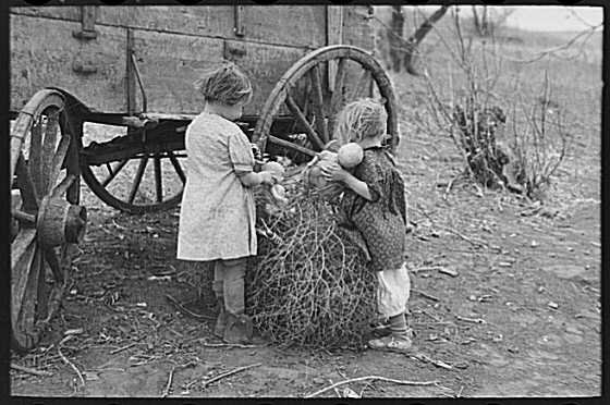 Click to view larger image